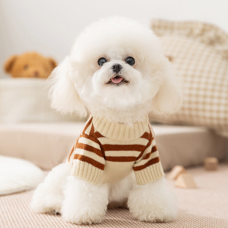 Cão vestindo camisola PawNova