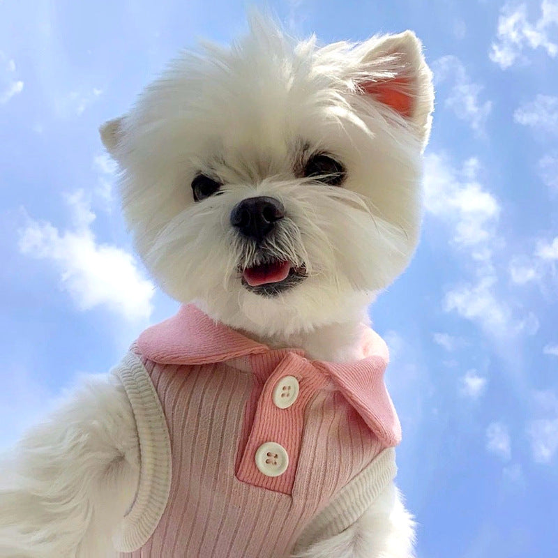 Striped Pet Polo Shirt for Small Dogs and Cats