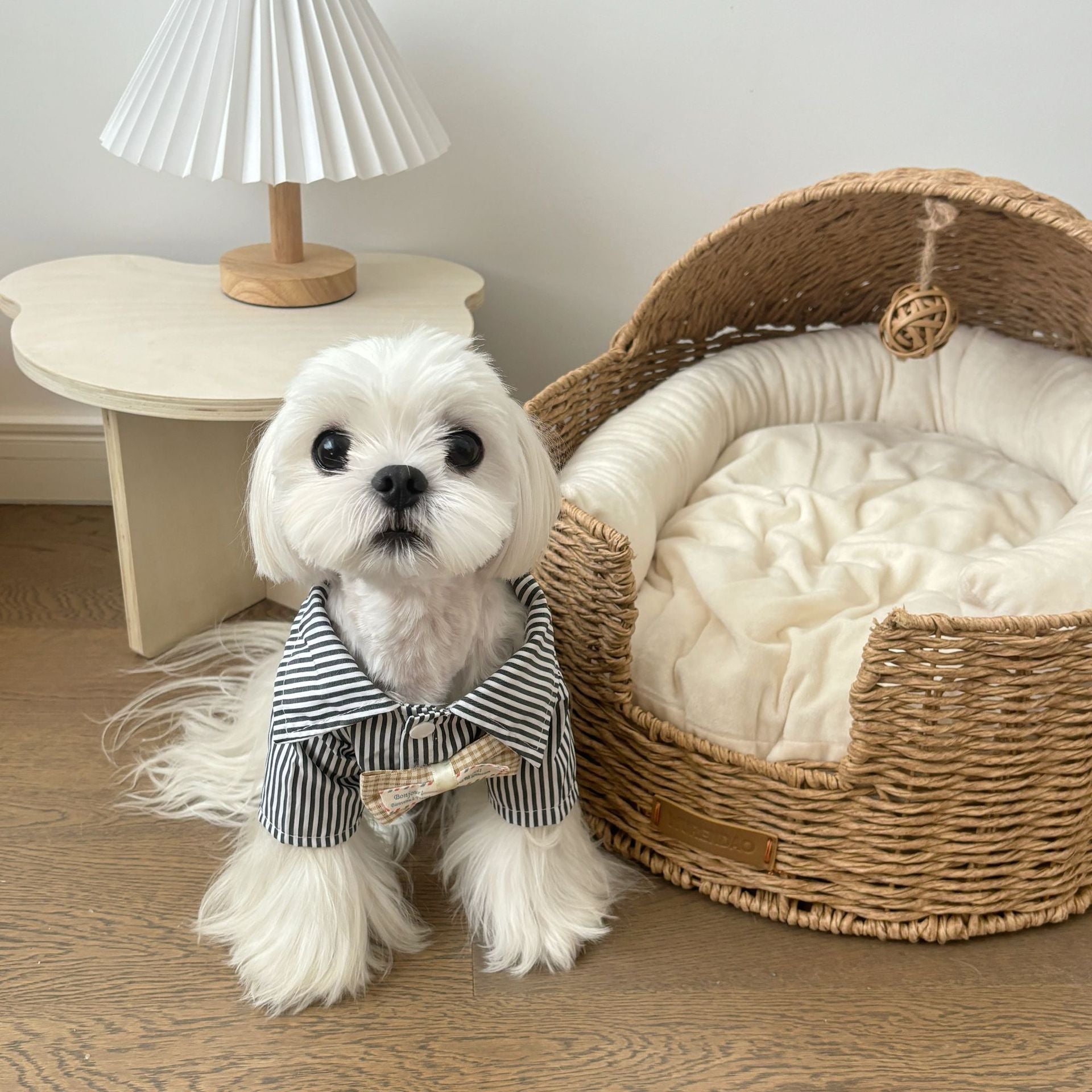 Pet Striped Collar Shirt