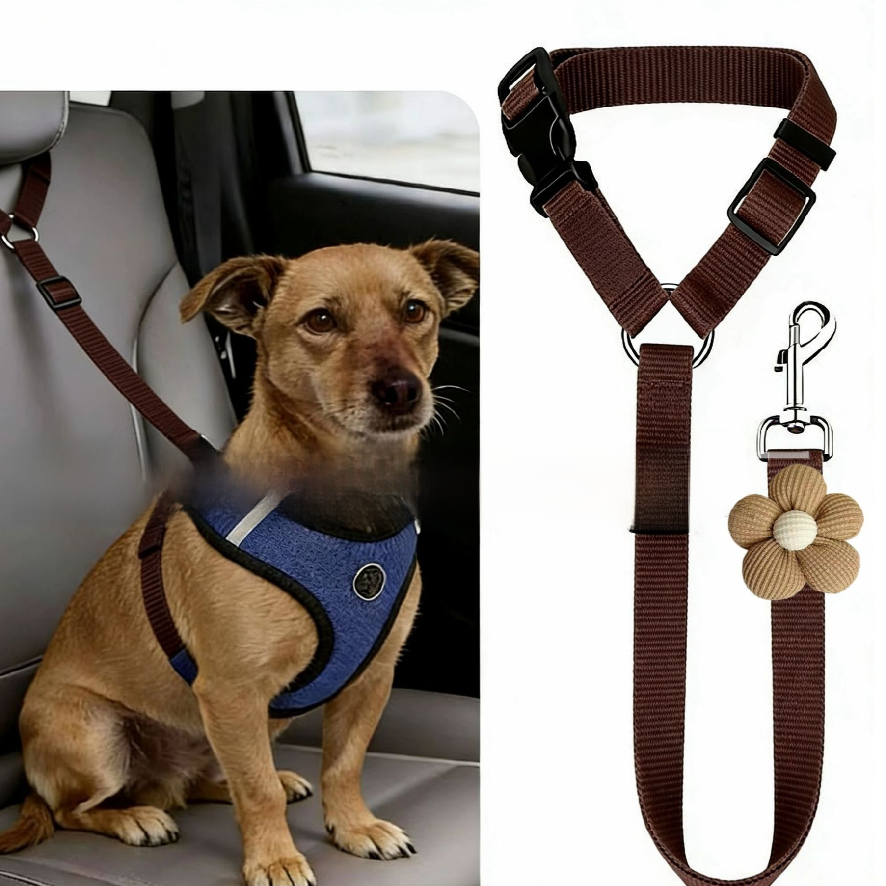 Stretchable band with flower attachment rope