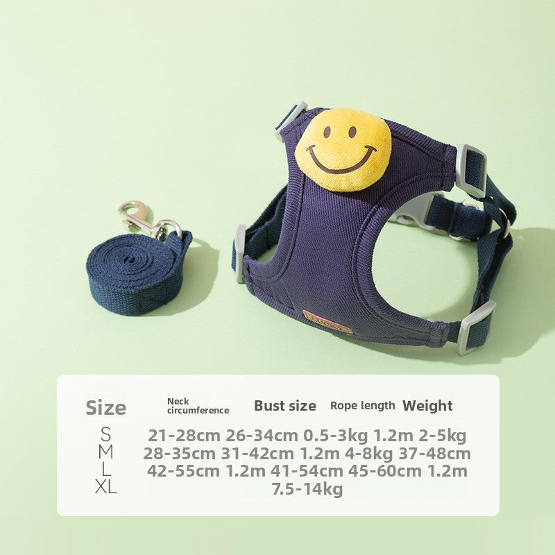 Pet leash