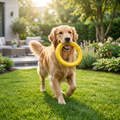 Argola Mordedora Resistente para Cão