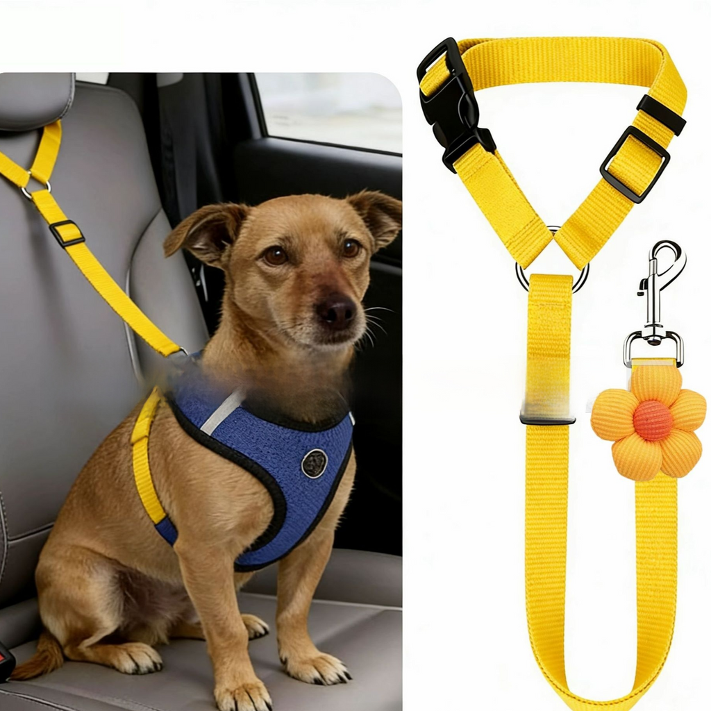 Stretchable band with flower attachment rope