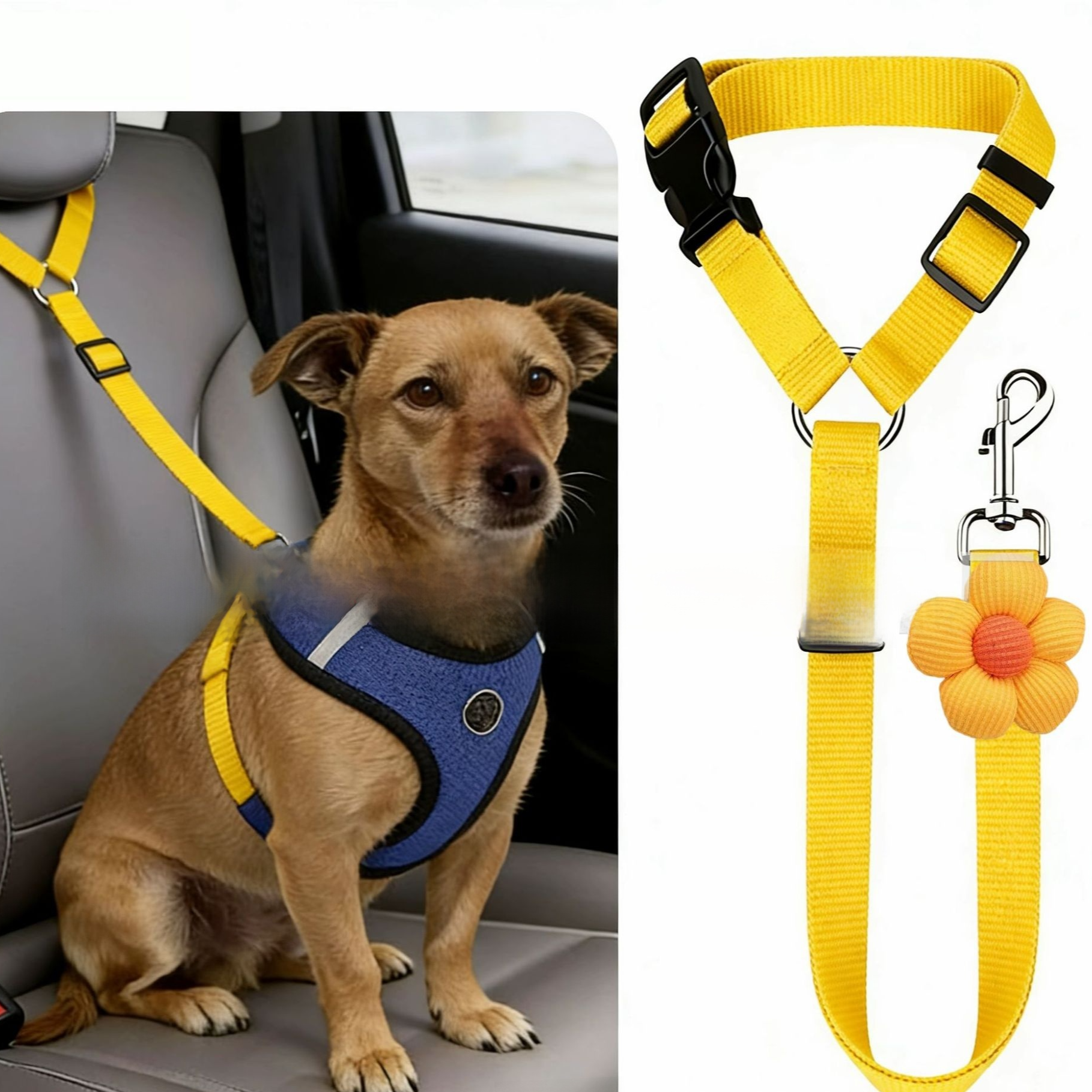 Stretchable band with flower attachment rope